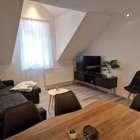 Haus Maxim アパート *